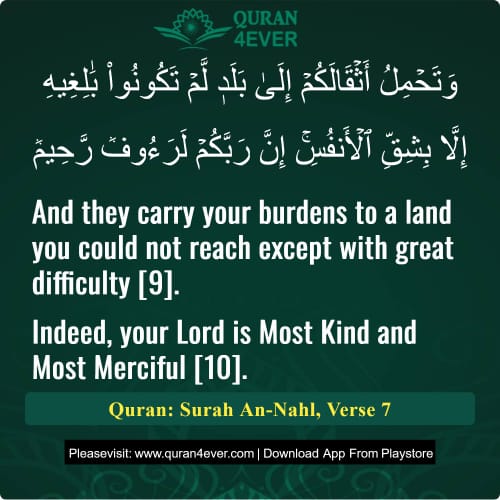 Quran Surah 16 Verse 7