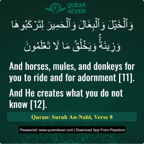 Quran Surah 16 Verse 8