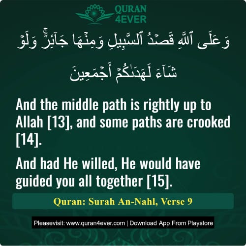 Quran Surah 16 Verse 9