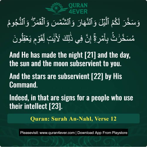 Quran Surah 16 Verse 12