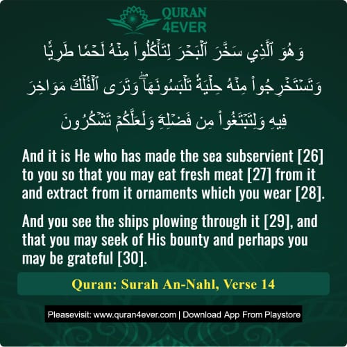 Quran Surah 16 Verse 14