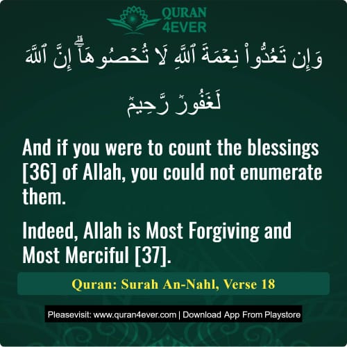 Quran Surah 16 Verse 18