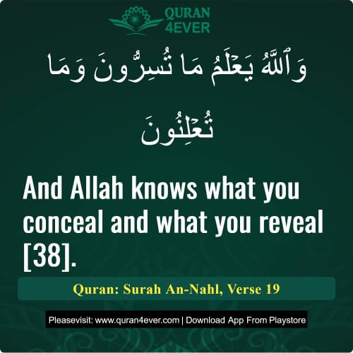 Quran Surah 16 Verse 19