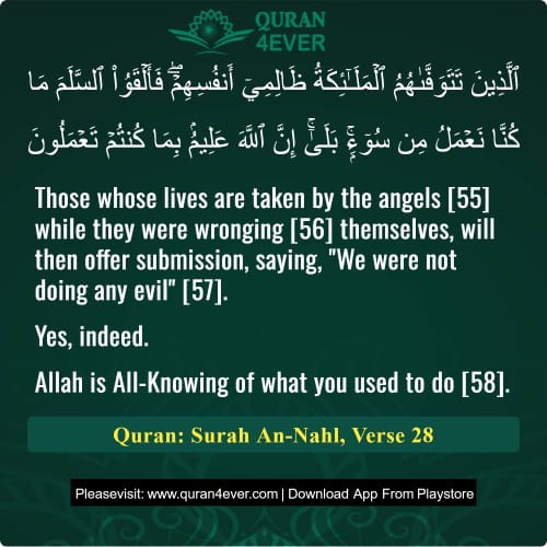 Quran Surah 16 Verse 28