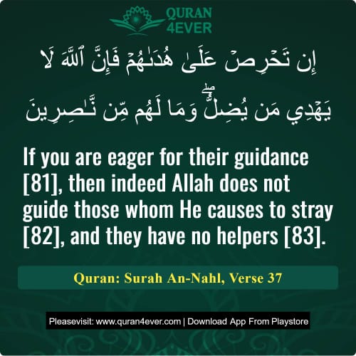 Quran Surah 16 Verse 37