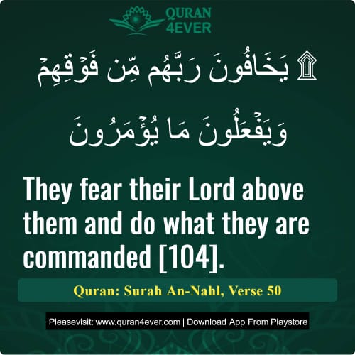 Quran Surah 16 Verse 50