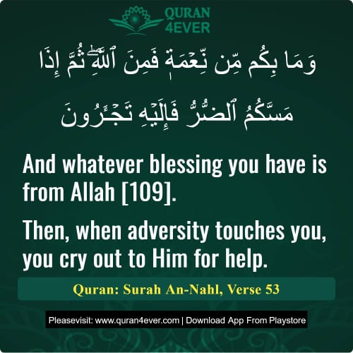 Quran Surah 16 Verse 53