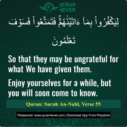 Quran Surah 16 Verse 55