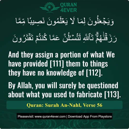 Quran Surah 16 Verse 56