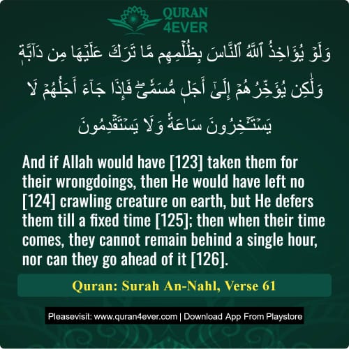 Quran Surah 16 Verse 61 Quran Surah 16 Verse 61
