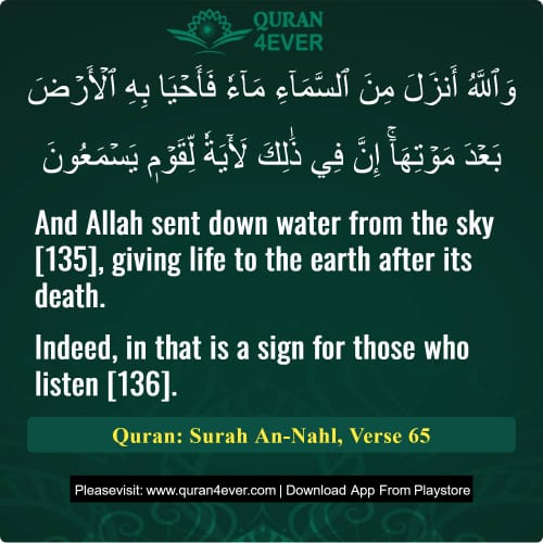 Quran Surah 16 Verse 65