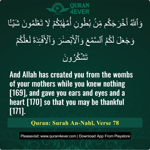 Quran Surah 16 Verse 78
