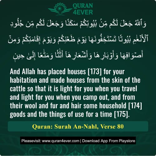 Quran Surah 16 Verse 80