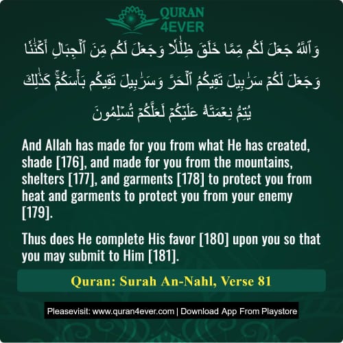 Quran Surah 16 Verse 81