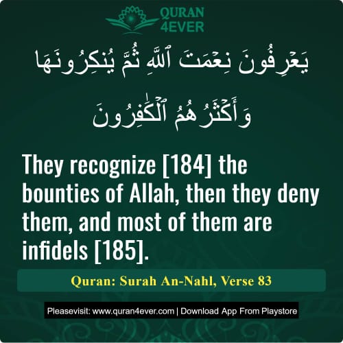 Quran Surah 16 Verse 83