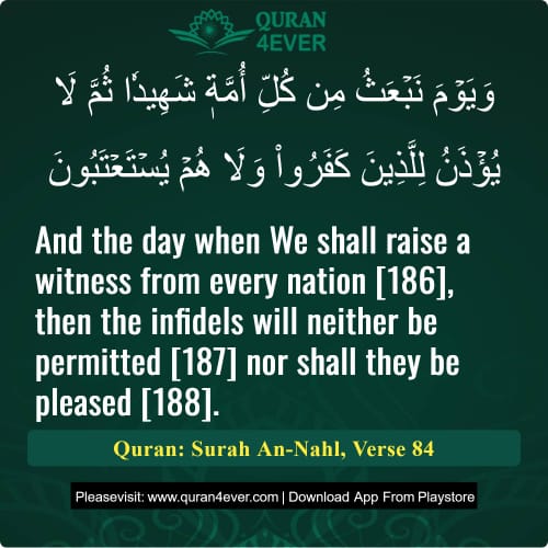 Quran Surah 16 Verse 84