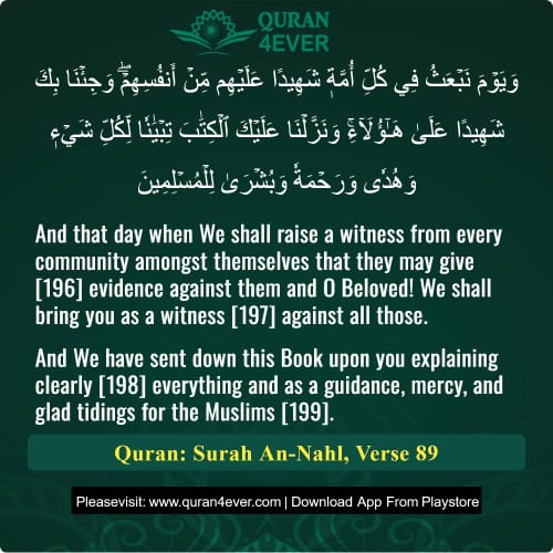Quran Surah 16 Verse 89