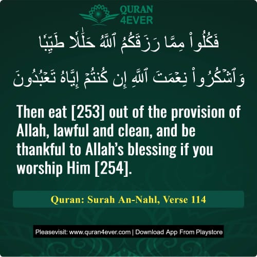 Quran Surah 16 Verse 114