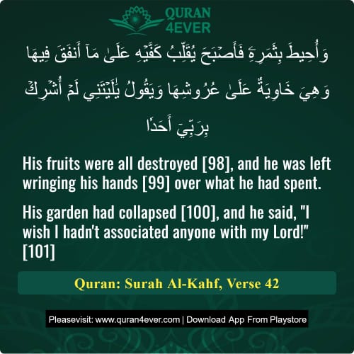 Quran Surah 18 Verse 42