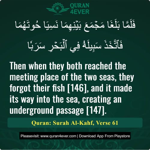 Quran Surah 18 Verse 61