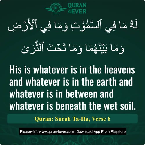 Quran Surah 20 Verse 6