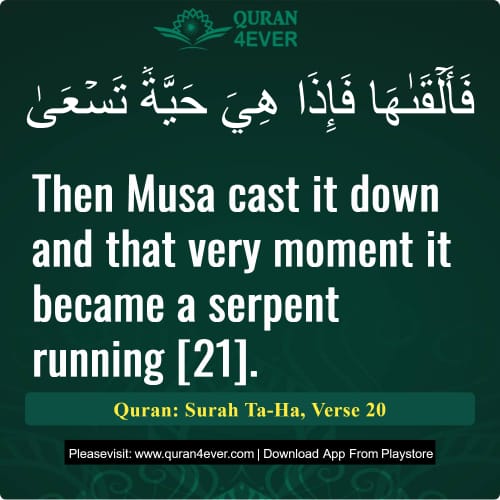 Quran Surah 20 Verse 20