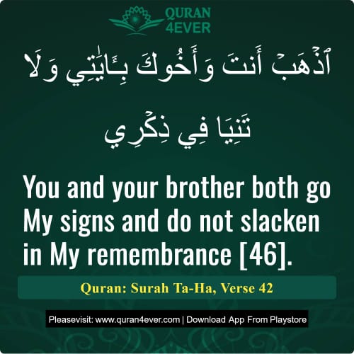 Quran Surah 20 Verse 42