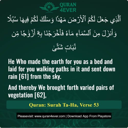 Quran Surah 20 Verse 53