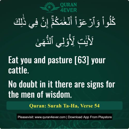 Quran Surah 20 Verse 54