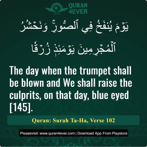 Quran Surah 20 Verse 102