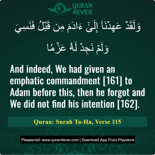 Quran Surah 20 Verse 115