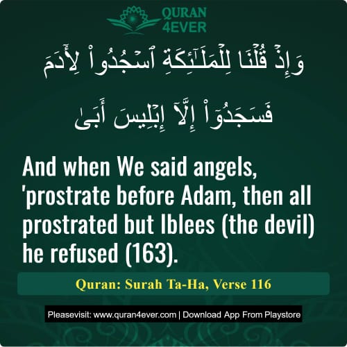 Quran Surah 20 Verse 116