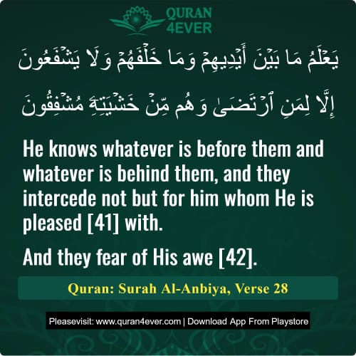 Quran Surah 21 Verse 28