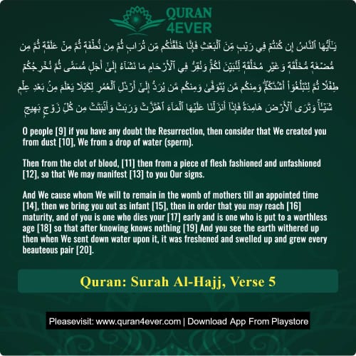 Quran Surah 22 Verse 5