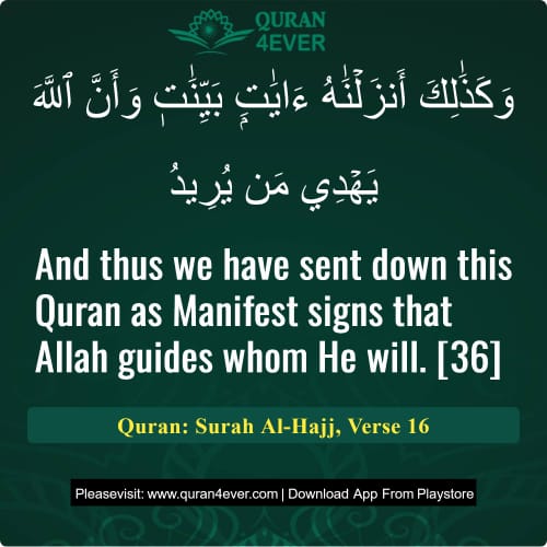 Quran Surah 22 Verse 16