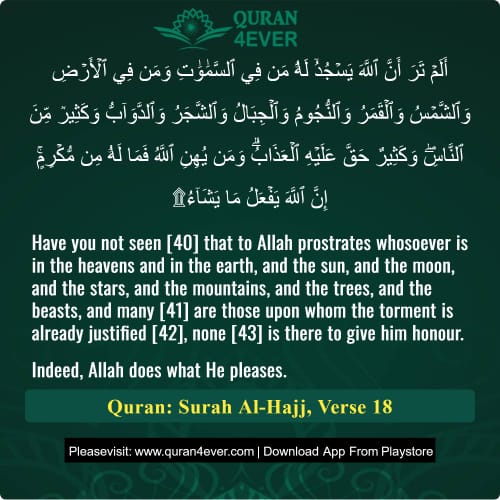 Quran Surah 22 Verse 18
