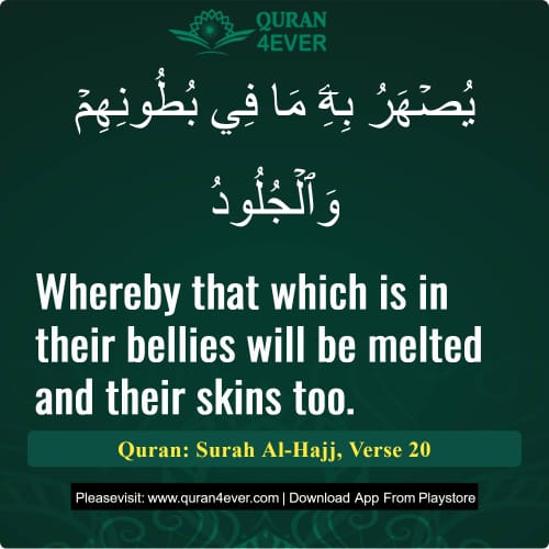 Quran Surah 22 Verse 20