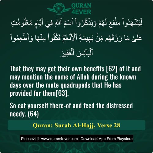 Quran Surah 22 Verse 28