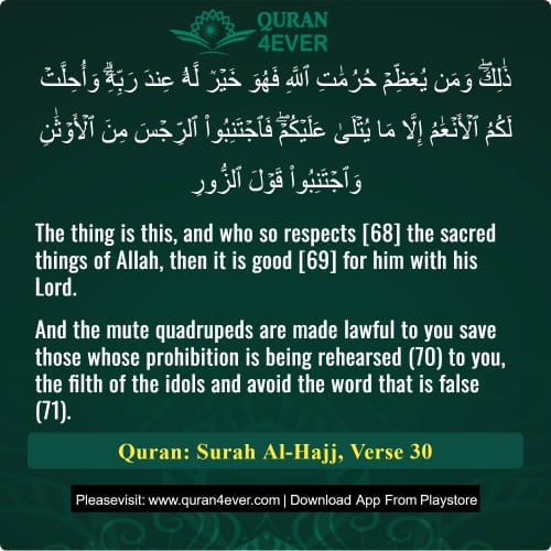 Quran Surah 22 Verse 30