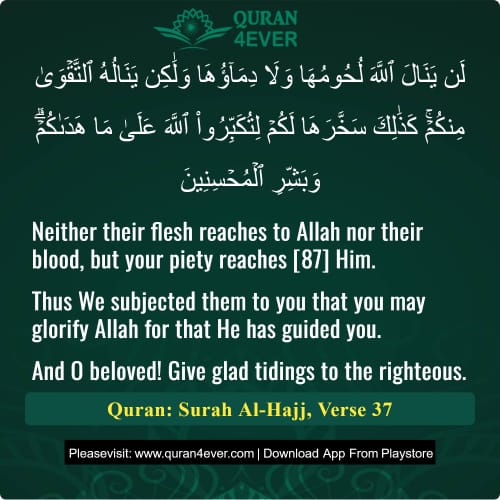 Quran Surah 22 Verse 37