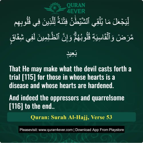 Quran Surah 22 Verse 53