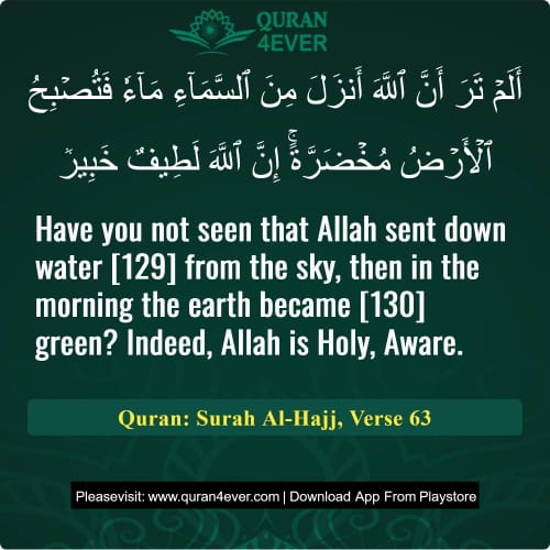 Quran Surah 22 Verse 63