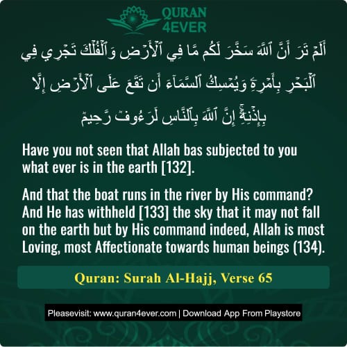 Quran Surah 22 Verse 65