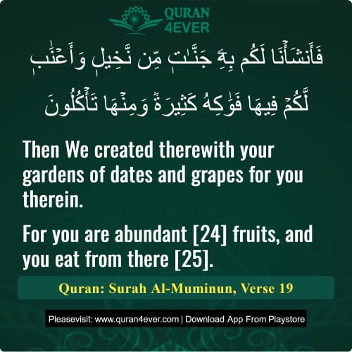Quran Surah 23 Verse 19