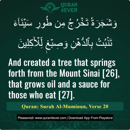 Quran Surah 23 Verse 20