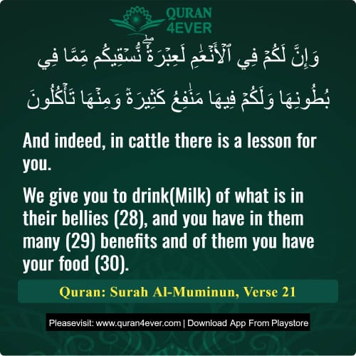 Quran Surah 23 Verse 21