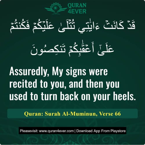 Quran Surah 23 Verse 66