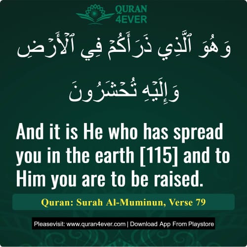 Quran Surah 23 Verse 79