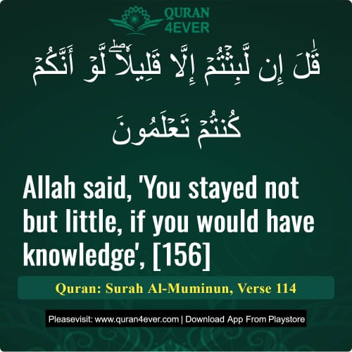 Quran Surah 23 Verse 114