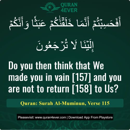 Quran Surah 23 Verse 115